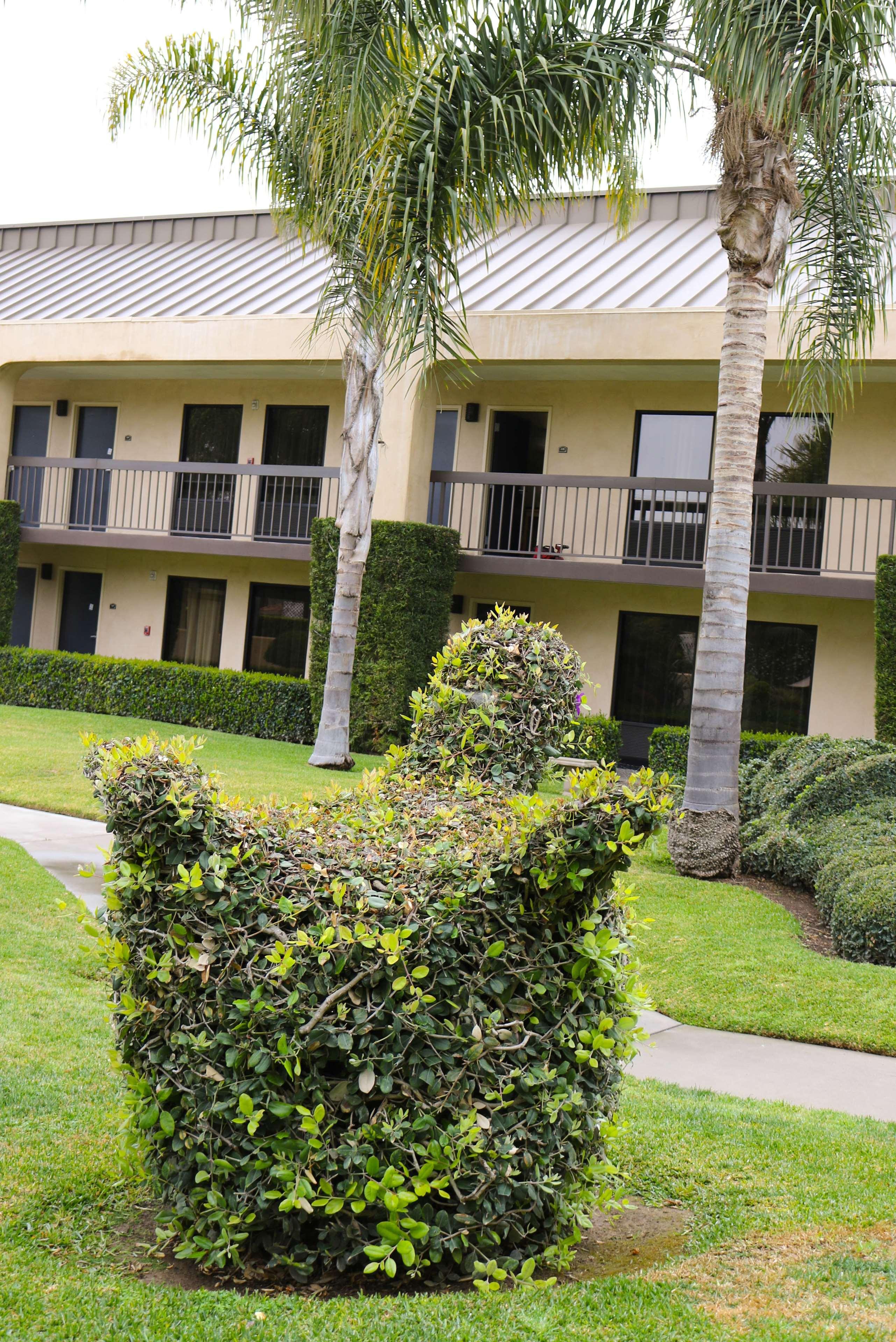 Best Western Plus South Coast Inn Goleta Exterior photo